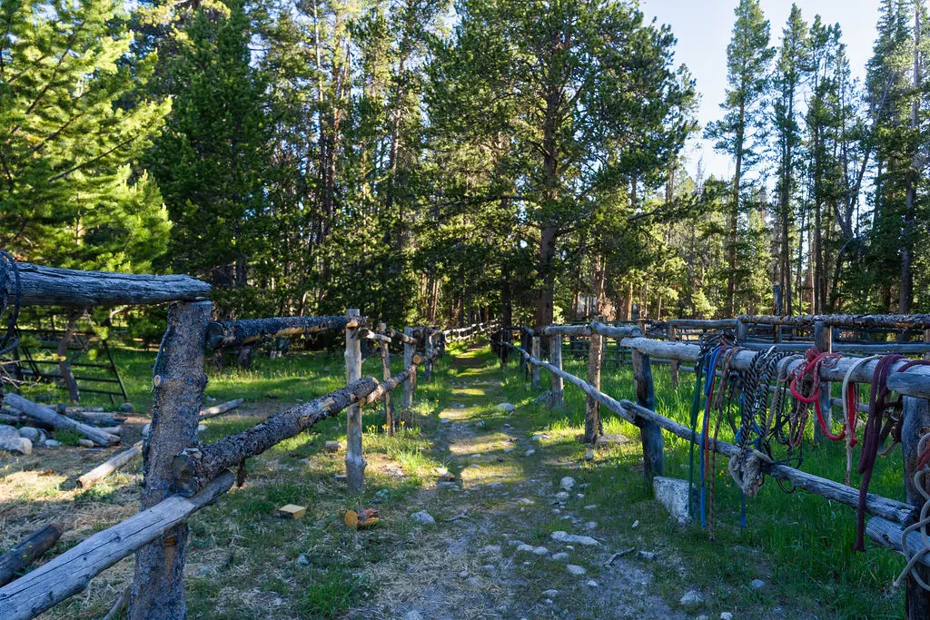 Corral Chute